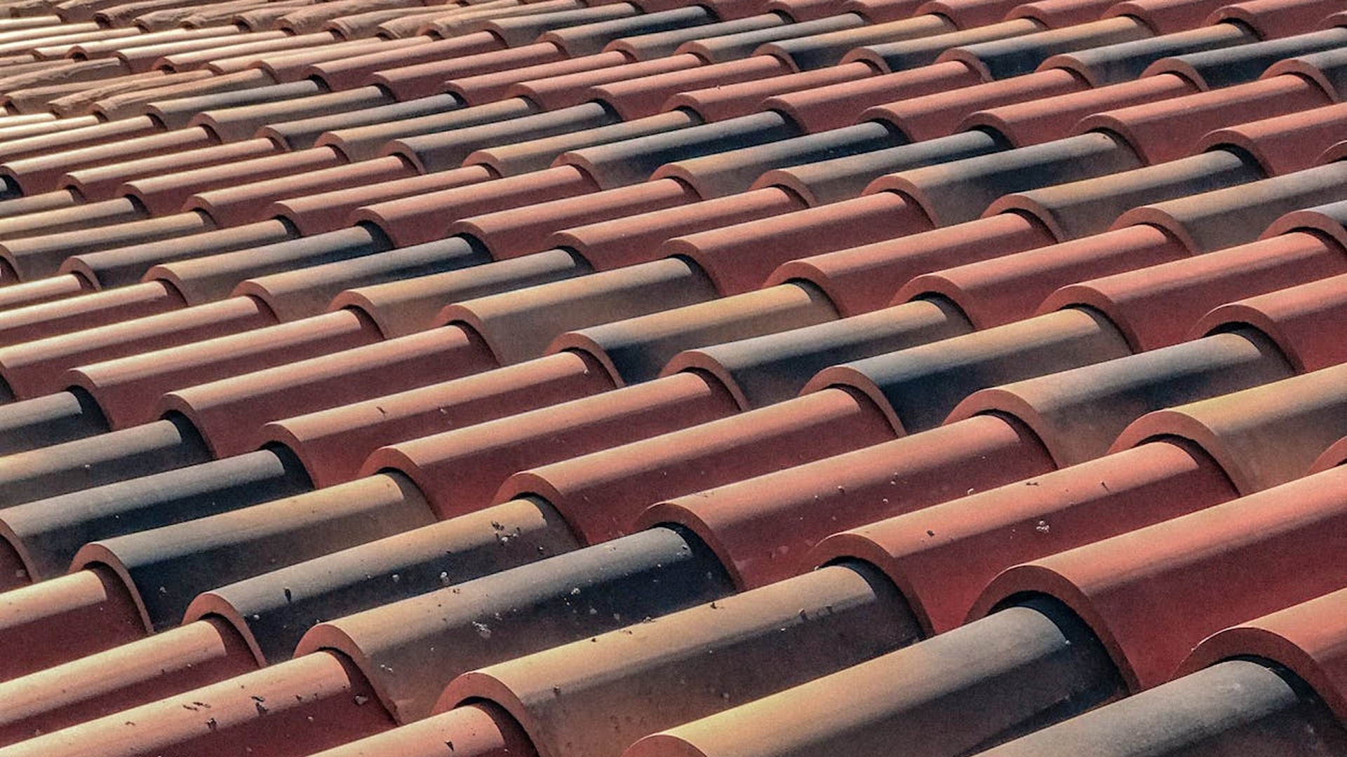 Roof tiles close-up professional work