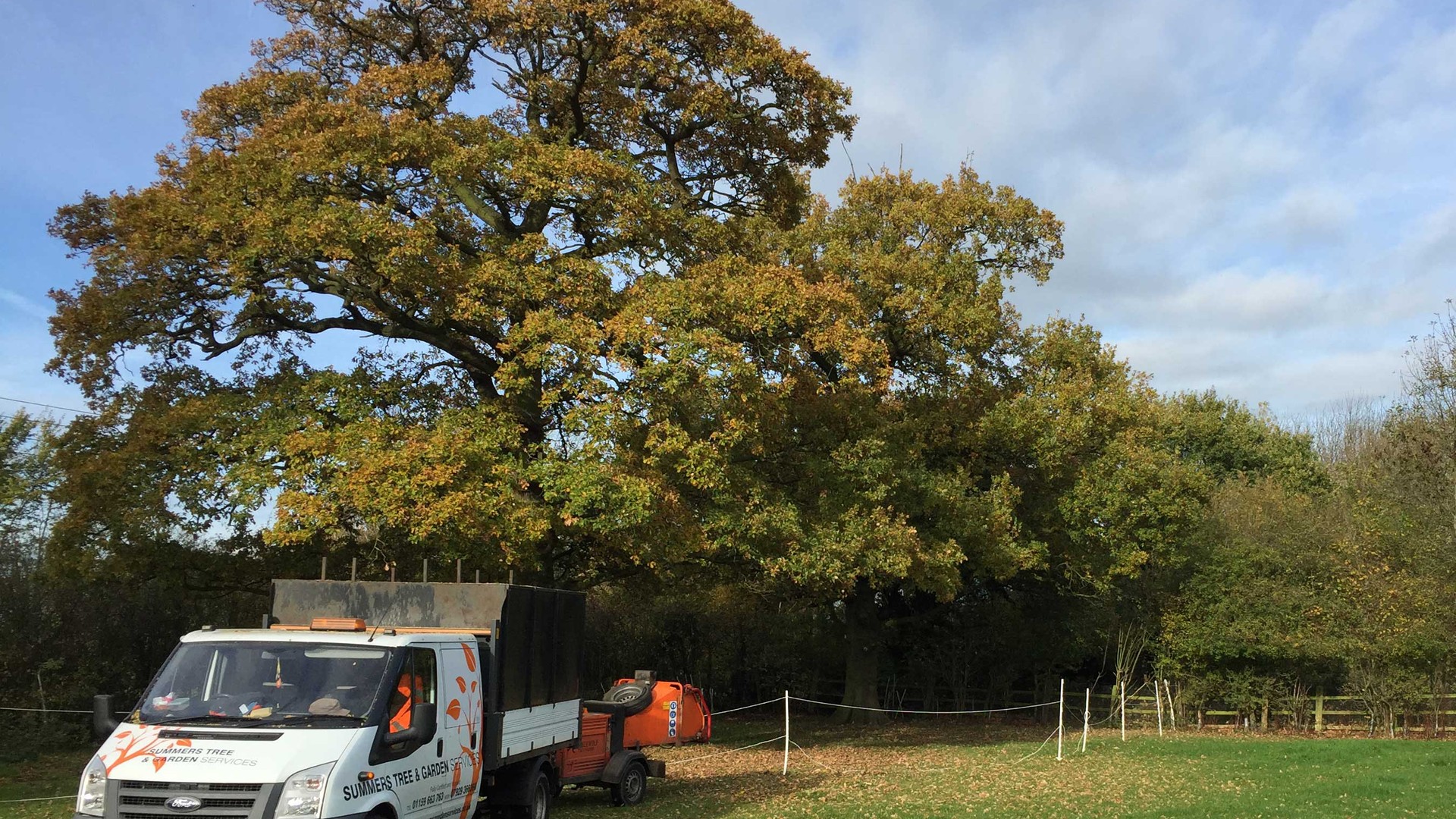 Tree surgery work in residential garden